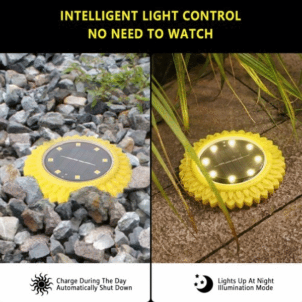 Solar GARDEN BURIED LIGHT - 8 LED