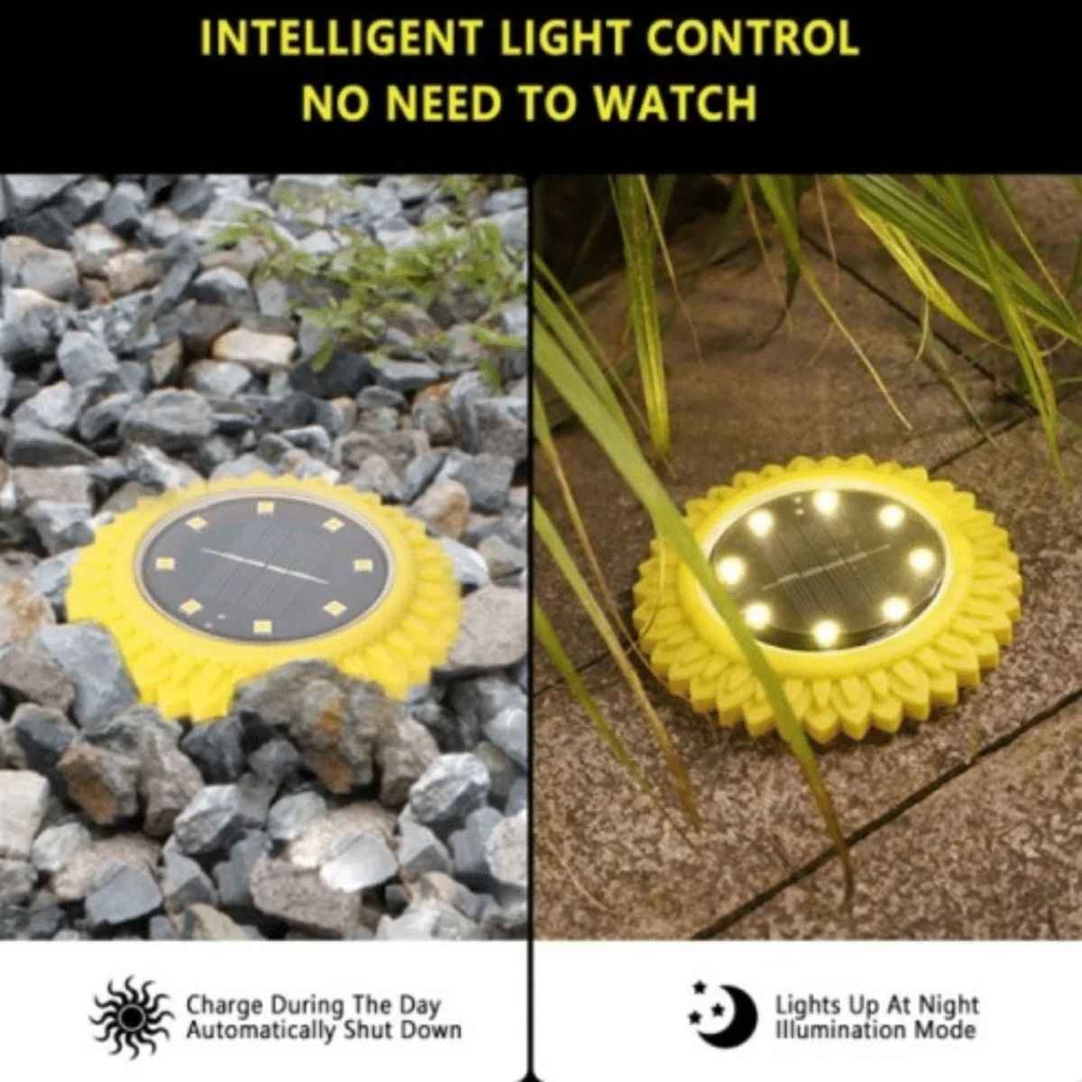 Aarmee solar ground lights installed in garden pathway