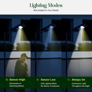 Aarmee Solar Light with motion sensor 30 watt